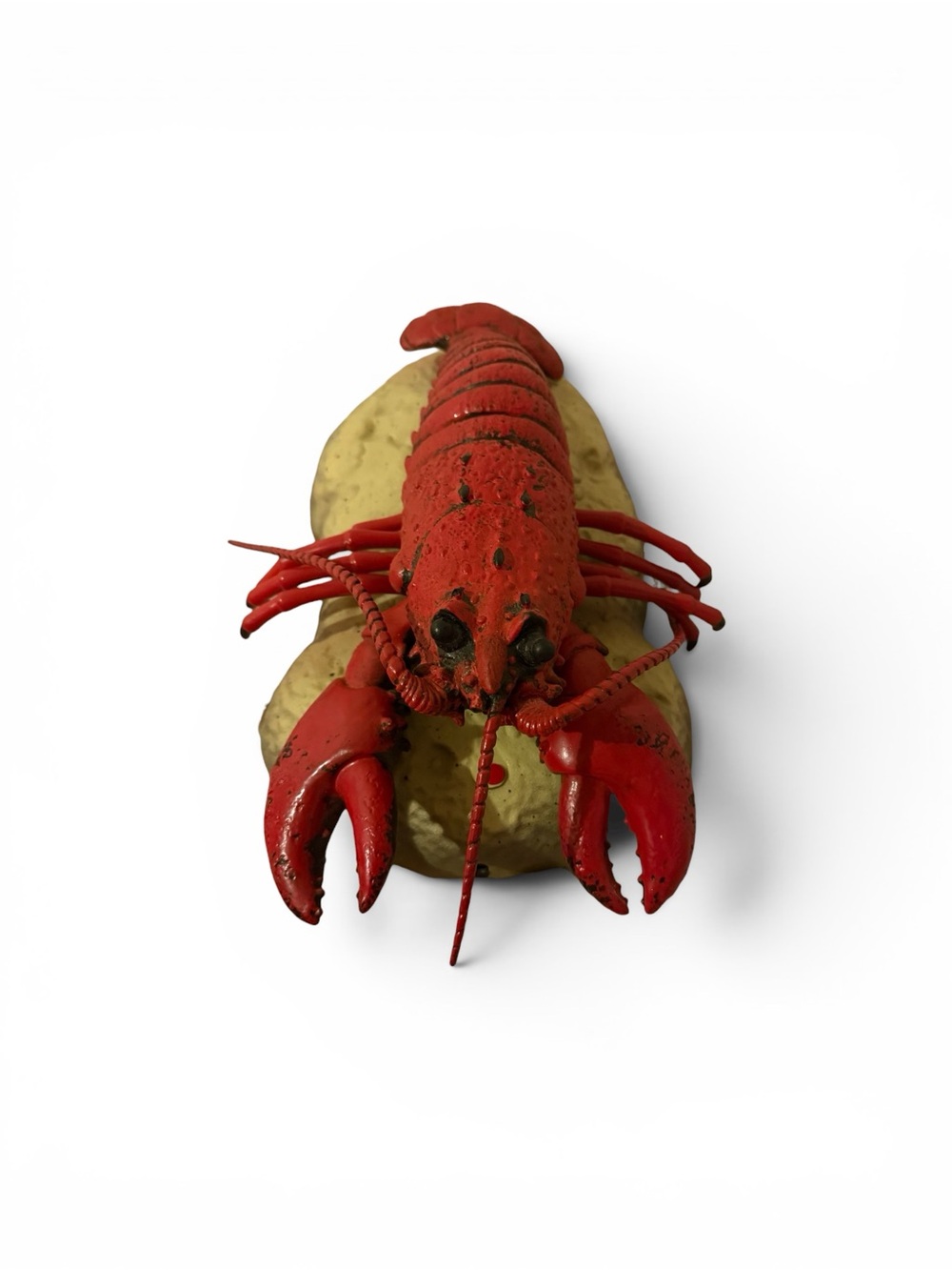 Vintage rock lobster